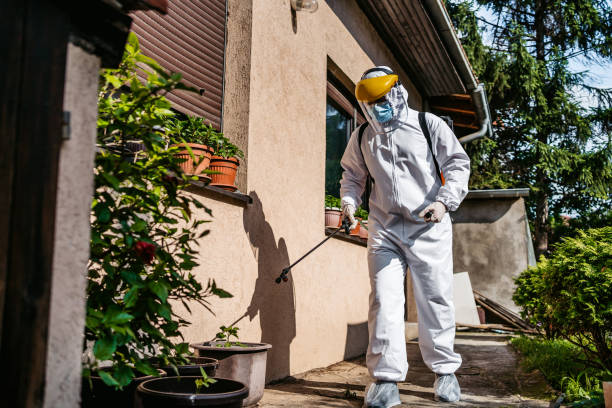 Wasp Removal Services in Papillion, NE