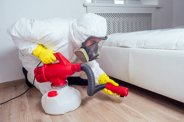 Best Local Pest Control Services  in Papillion, NE