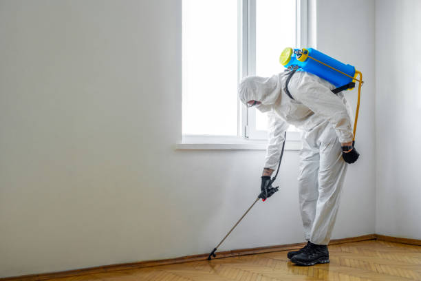 Pest Control Cost in Papillion, NE