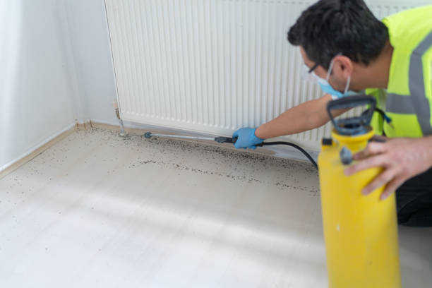 Best Exterminator Services  in Papillion, NE
